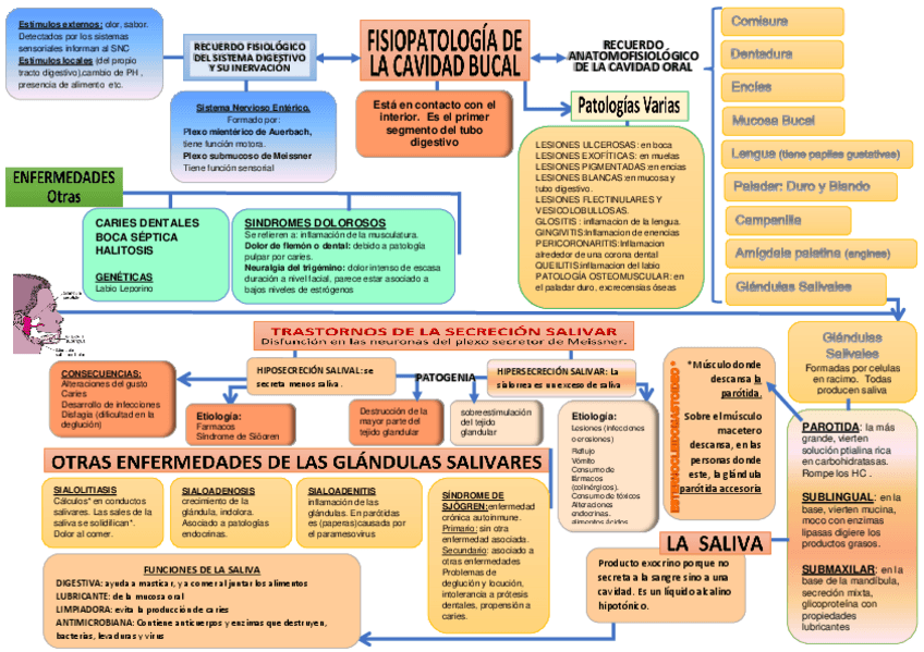 Miniatura del documento TEMA-2-FISIOPATOLOGIA-DE-LA-CAVIDAD-BUCAL-1.pdf