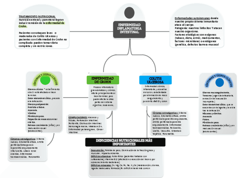 Miniatura del documento TEMA-6-ENFERMEDAD-INFLAMATORIA-INTESTINAL-ESQUEMA.pdf