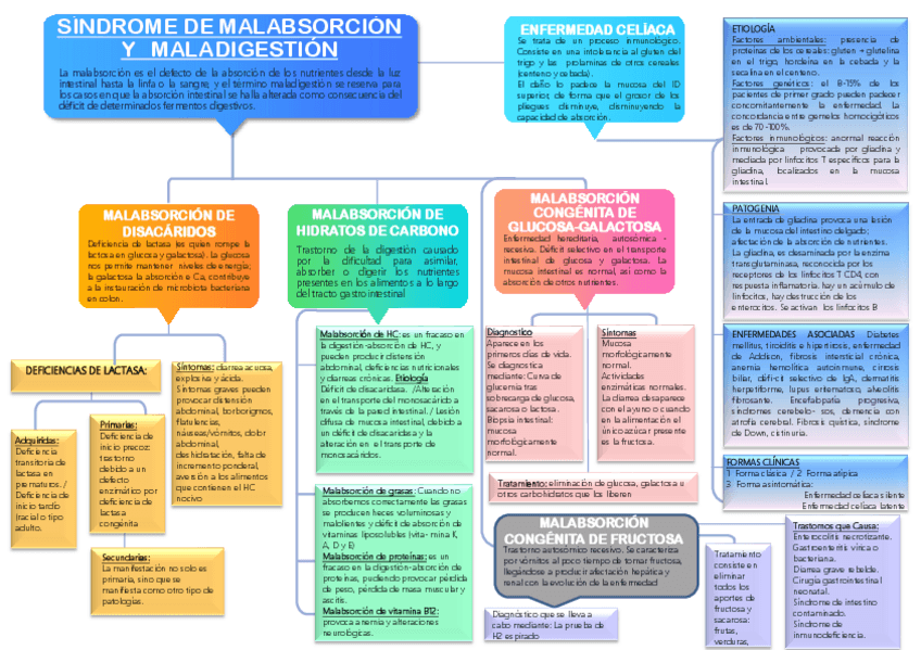 Miniatura del documento tema-7-esquema-SINDROME-DE-MALA-ABSORCION.pdf