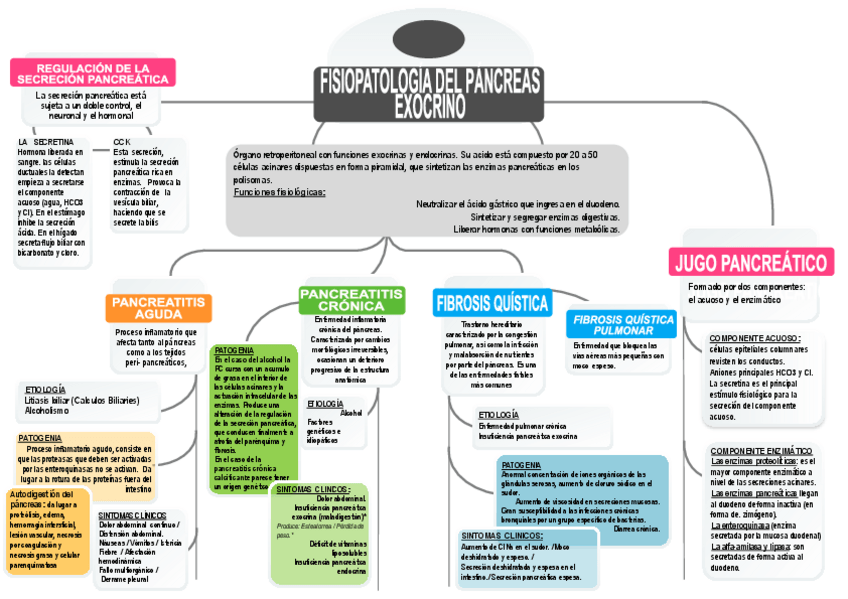 Miniatura del documento TEMA-8-fisiopatologia-del-pancreas-exocrino-esquema.pdf