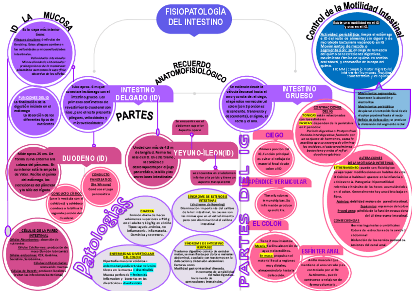Miniatura del documento TEMA-5-FISIOPATOLOGIA-DEL-INTESTINO-ESQUEMA-1.pdf