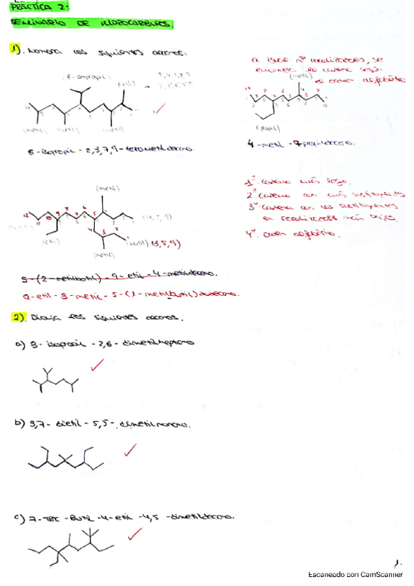 Miniatura del documento Seminario-2HidrocarburosQuimica.pdf