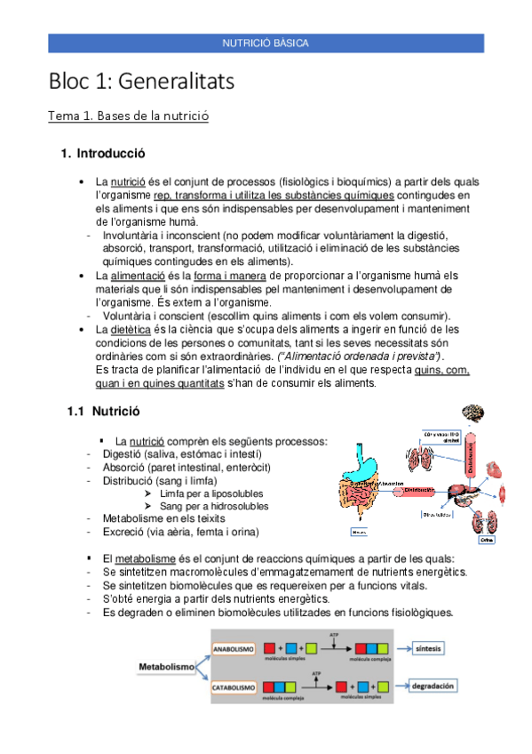 Miniatura del documento TEMARI-COMPLET-NUTRICIO-BASICA.pdf