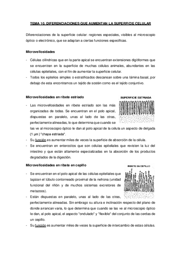 Miniatura del documento Temas-10-15-y-18-20.pdf
