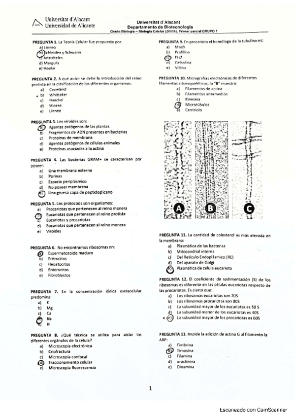 Miniatura del documento Examen-primer-parcialBiologia-Celular.pdf