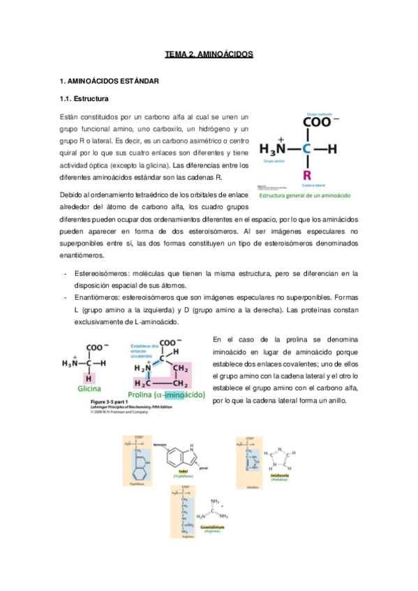Miniatura del documento Tema-2AminoacidosApuntes.pdf