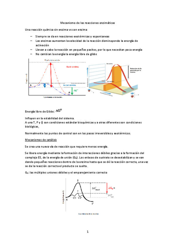 Miniatura del documento Tema-6-Mecanismo-de-las-reacciones-enzimaticas.pdf