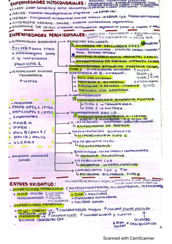 Miniatura del documento esquemas-clinica.pdf