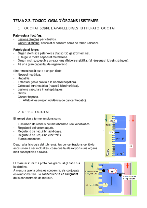 Miniatura del documento TEMA-2.3-IMP.pdf