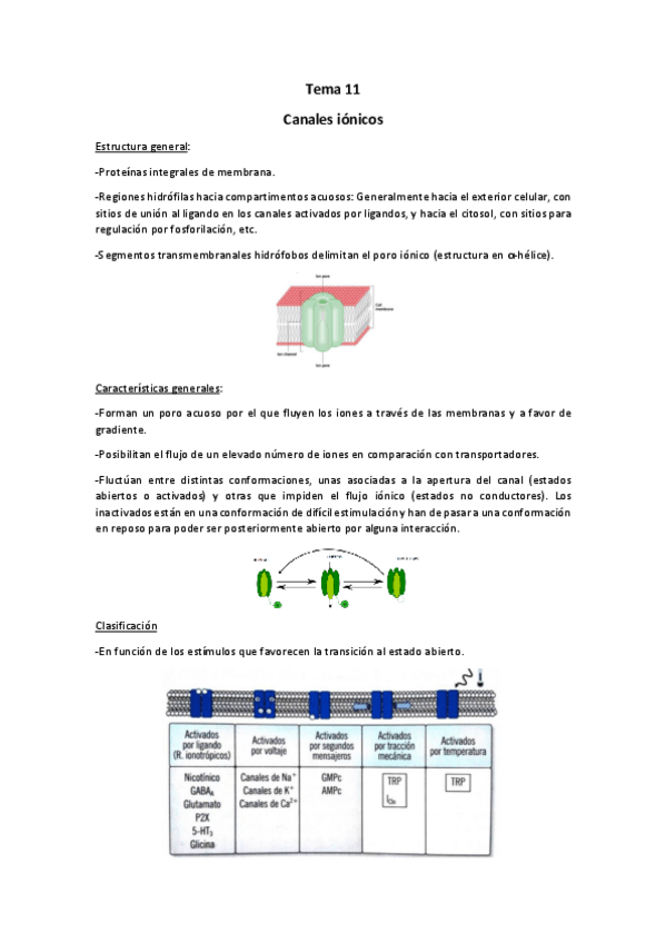 Miniatura del documento Tema 11.pdf