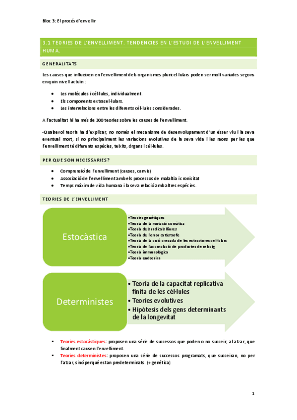 Miniatura del documento BLOQUE-3-NUEVOS-APUNTES.pdf