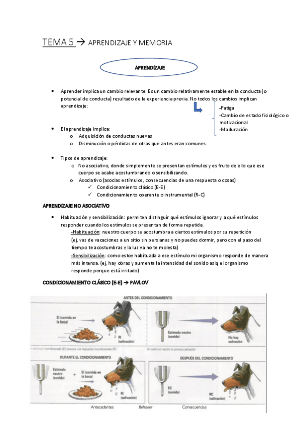 Miniatura del documento TEMA-5.pdf