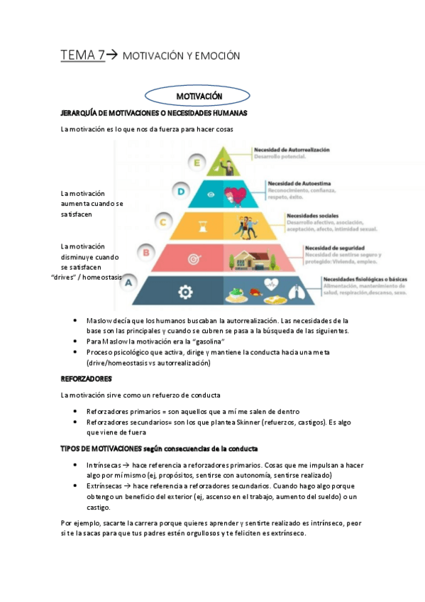 Miniatura del documento TEMA-7.pdf