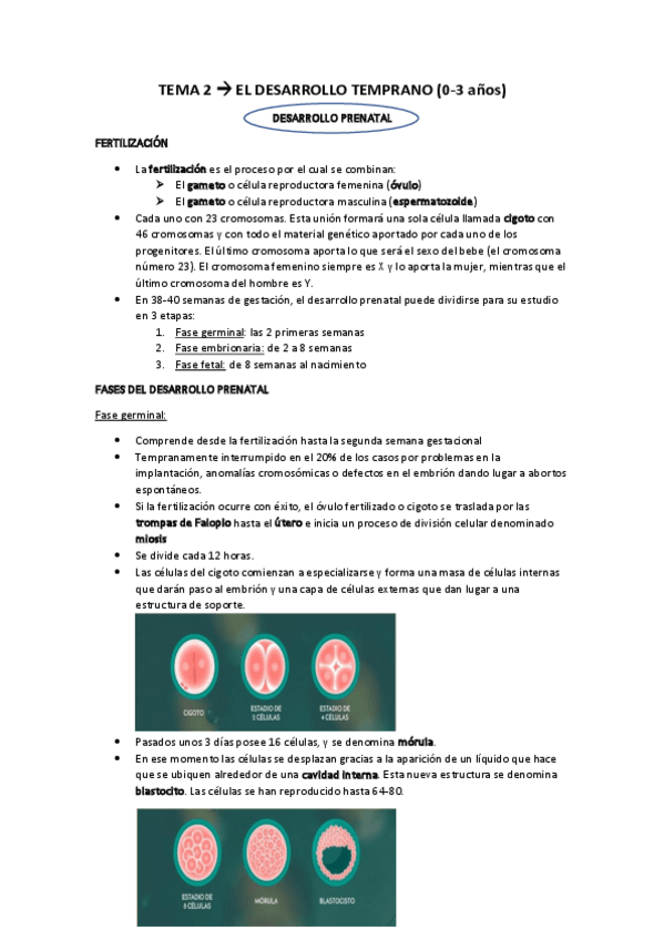 Miniatura del documento TEMA-2.pdf