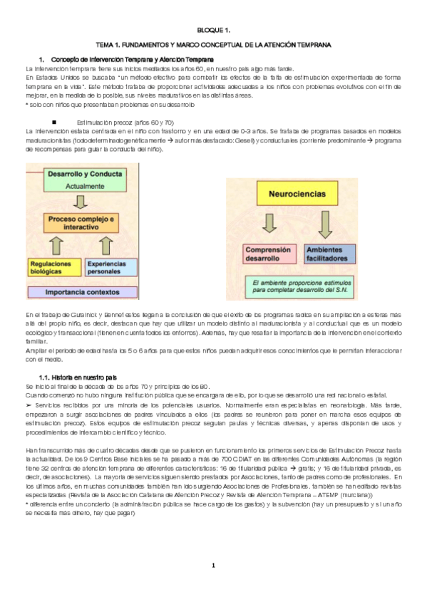 Miniatura del documento TEMA-1.pdf