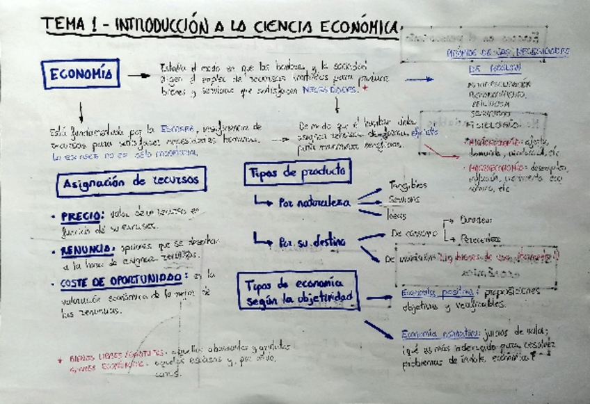 Miniatura del documento Direccion-de-Empresas-Esquemas-Temas-1-8.pdf