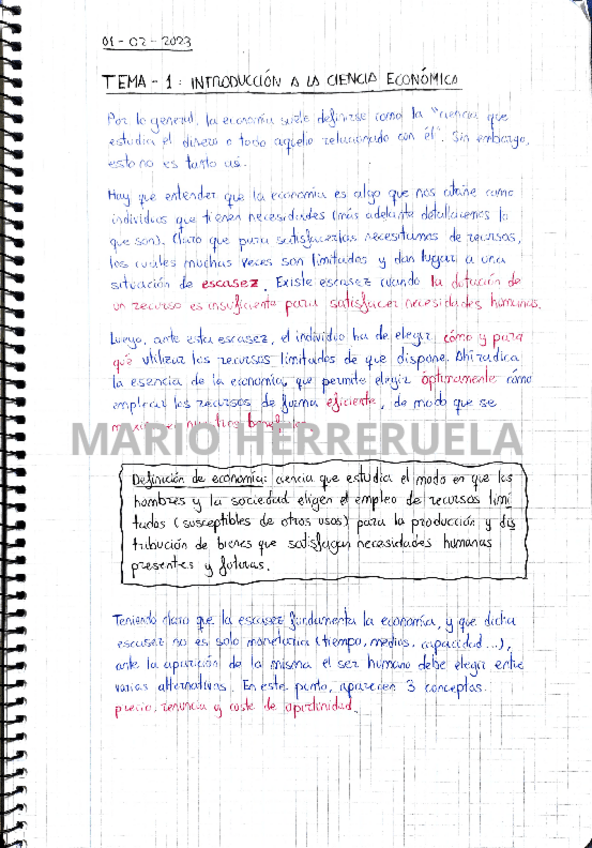 Miniatura del documento Direccion-de-Empresas-Teoria-Temas-1-6.pdf