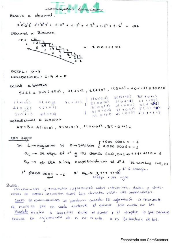 Miniatura del documento InfBasicaApuntes.pdf