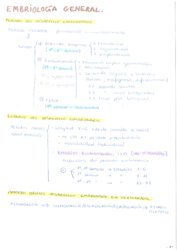 Miniatura del documento EMBRIOLOGIA.pdf