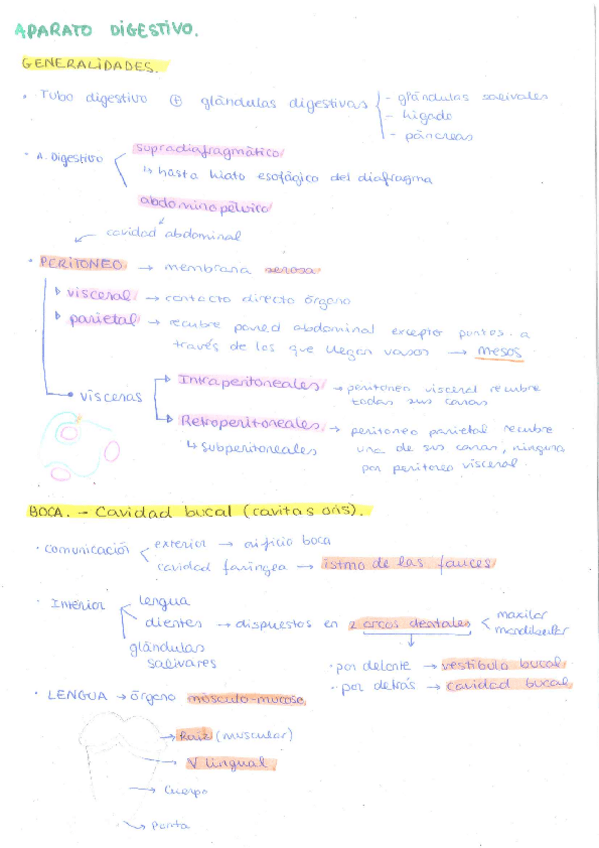 Miniatura del documento DIGESTIVO.pdf