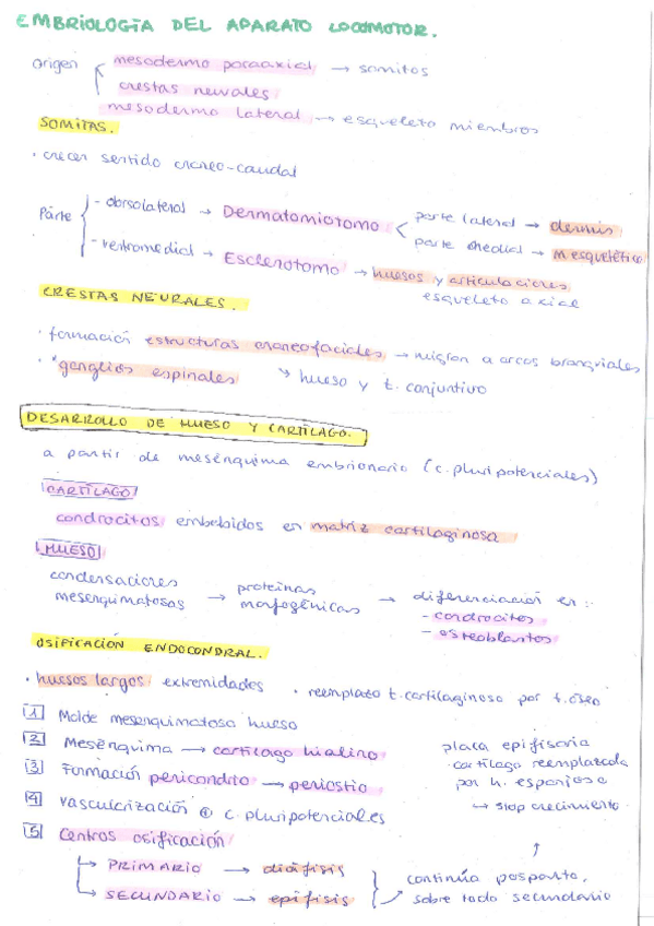 Miniatura del documento LOCOMOTOR.pdf