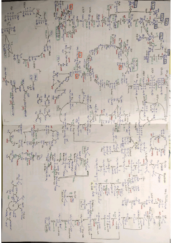 Miniatura del documento txuleta.pdf