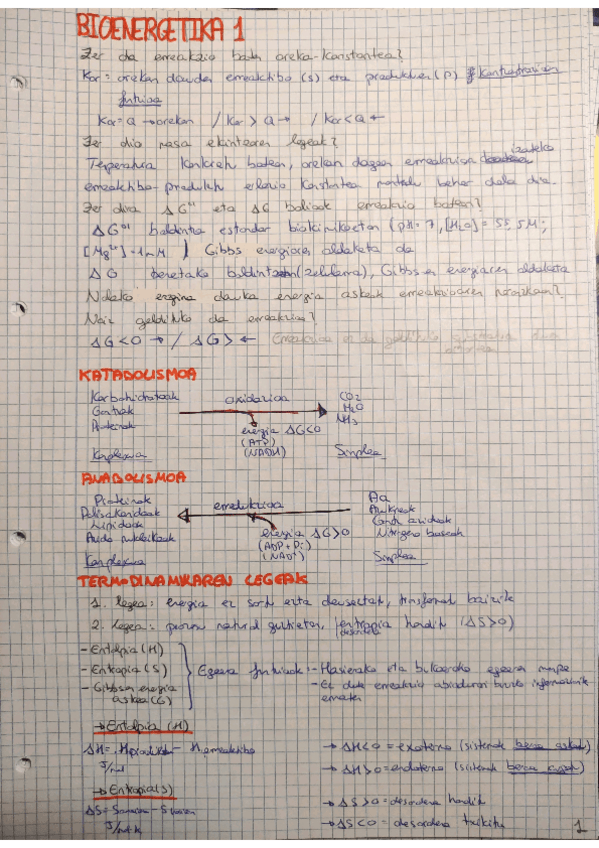 Miniatura del documento bioenergetika-teoria.pdf