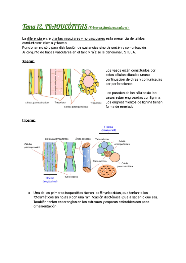 Miniatura del documento TEMA-12.pdf