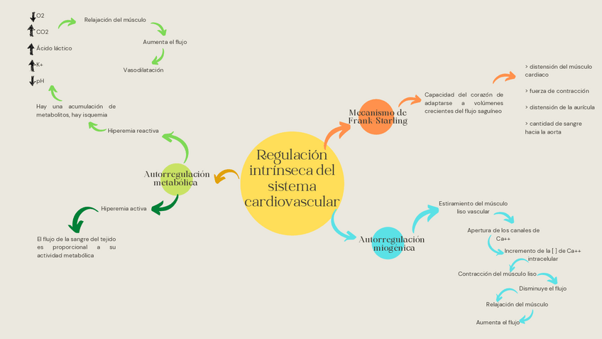 Miniatura del documento Fisiologia.pdf