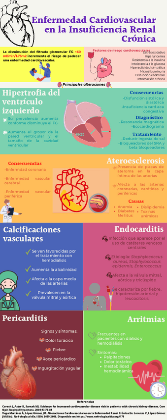 Miniatura del documento Enfermedad-cardiovascular-en-la-Insuficiencia-Renal-Cronica.pdf