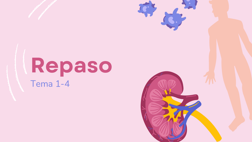 Miniatura del documento Repaso-Nefro.pdf