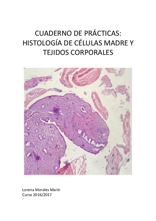 Miniatura del documento Guion practicas definitivo 16:17.pdf