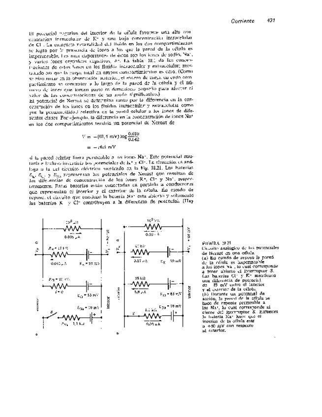 Miniatura del documento Biomecanica-podo-49.pdf