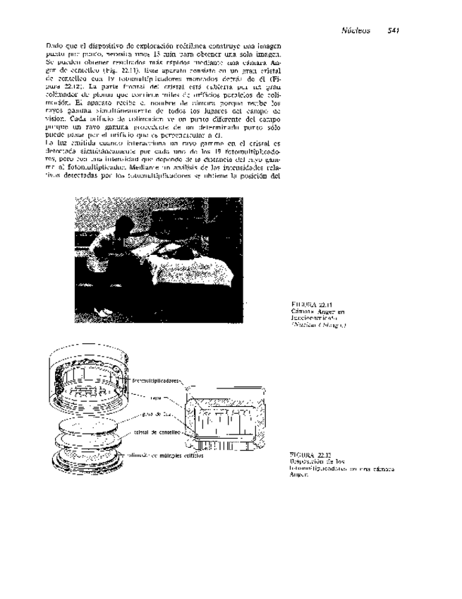 Miniatura del documento Biomecanica-podo-57.pdf