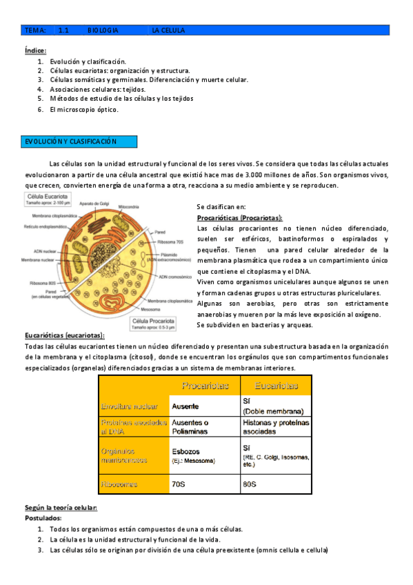 Miniatura del documento T1.1-LA-CELULA.pdf