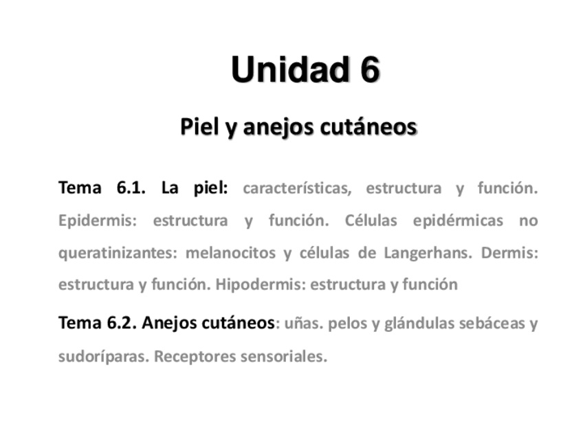 Miniatura del documento Tema-6-La-Piel.pdf
