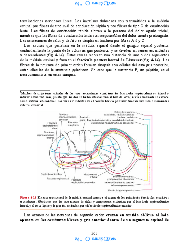 Miniatura del documento Hipocampo-y-hipotalamo-1.pdf
