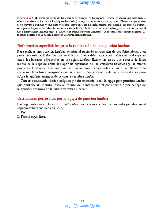Miniatura del documento Huesos-del-m-iembro-sup-23.pdf