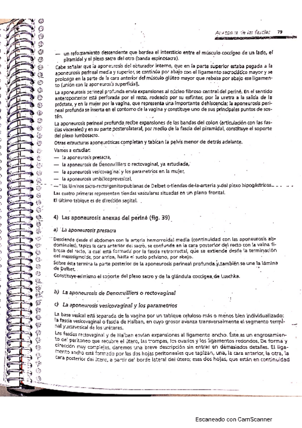 Miniatura del documento HOMBRO-6.pdf