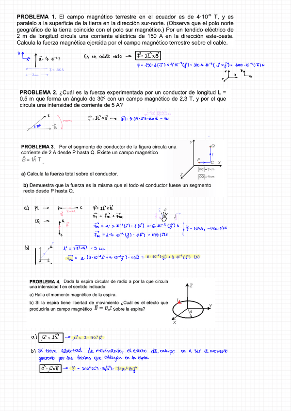 Miniatura del documento Ej.-c.magnetico-resueltos.pdf