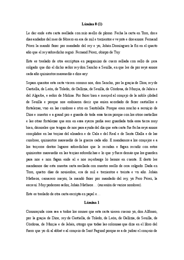 Miniatura del documento Transcripciones láminas (0-41).pdf