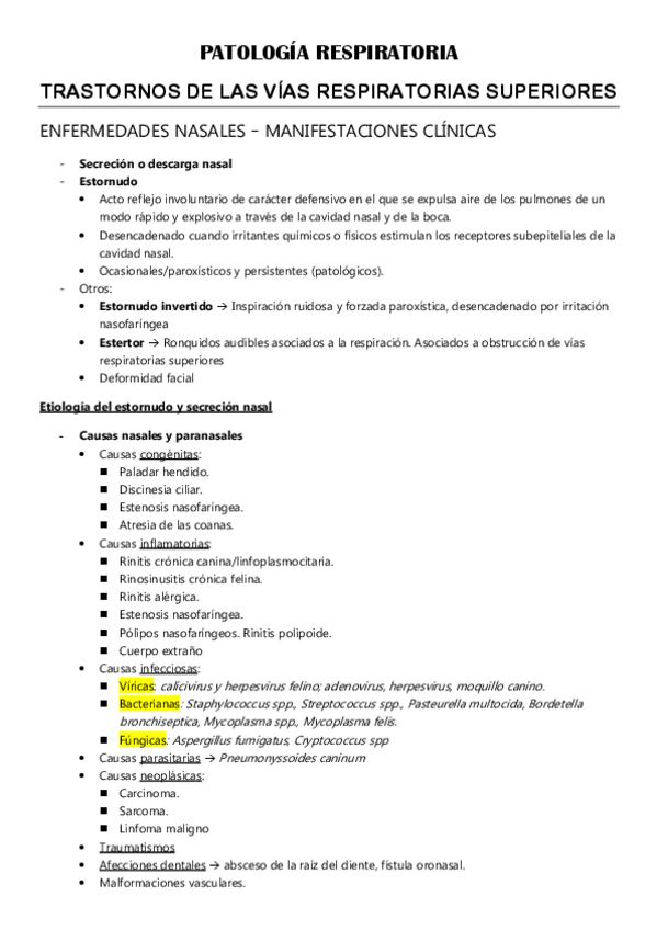 Miniatura del documento PATOLOGIA-RESPIRATORIA.pdf