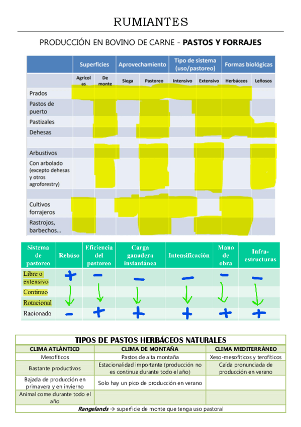 Miniatura del documento TABLAS-RESUMEN-PRODUCCION.pdf