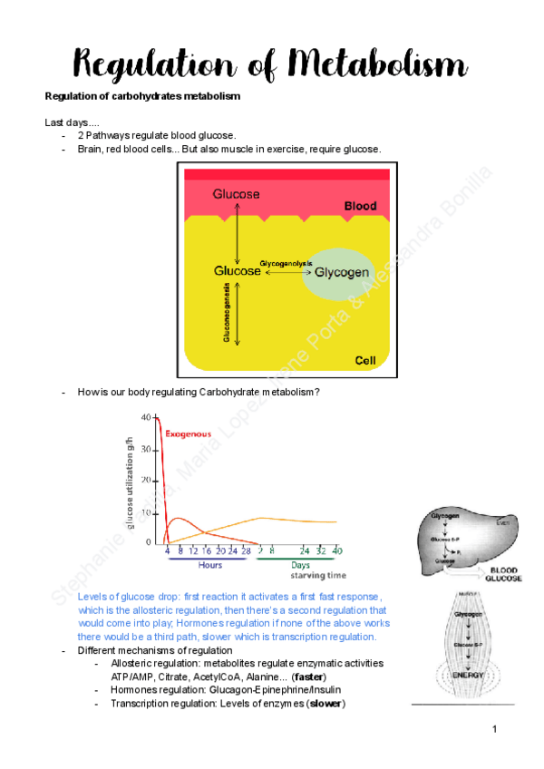 Miniatura del documento 7.-Regulation-of-metabolism.pdf