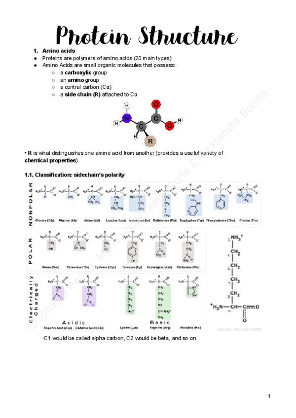 Miniatura del documento II.-PROTEIN-STRUCTURE.pdf