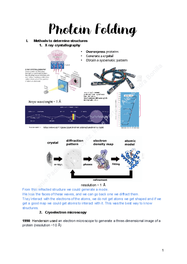 Miniatura del documento III.-Protein-Folding.pdf