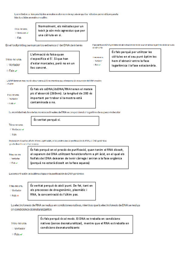 Miniatura del documento Questionari-tema-7-amb-respostes-justificades.pdf
