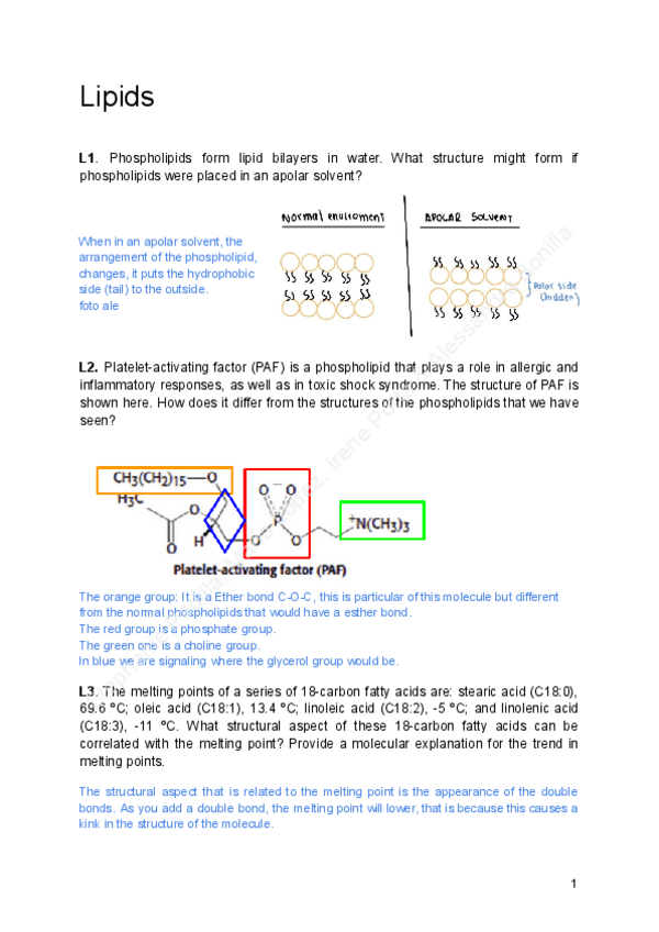 Miniatura del documento 2.-Lipids-and-Carbohydrates-Exercises.pdf