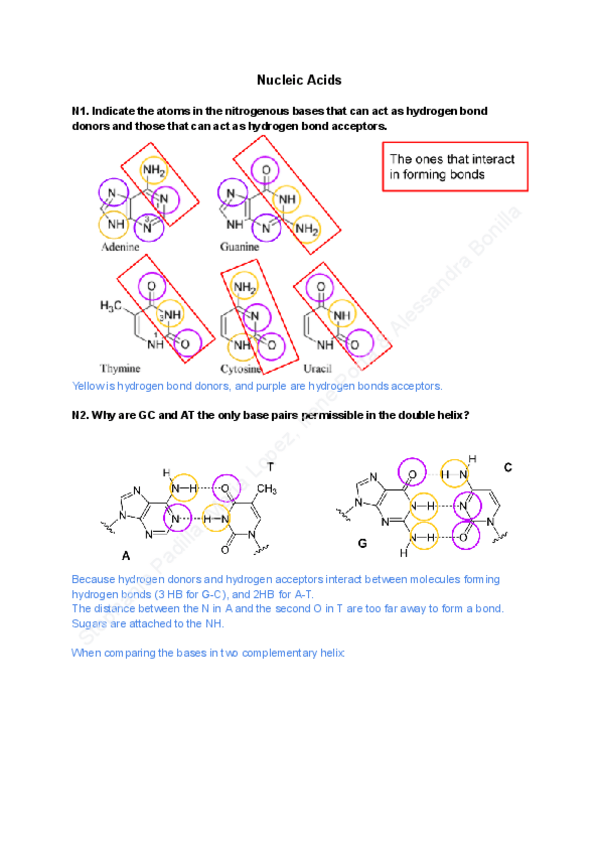 Miniatura del documento 3.-Nucleic-Acids-Exercises.pdf