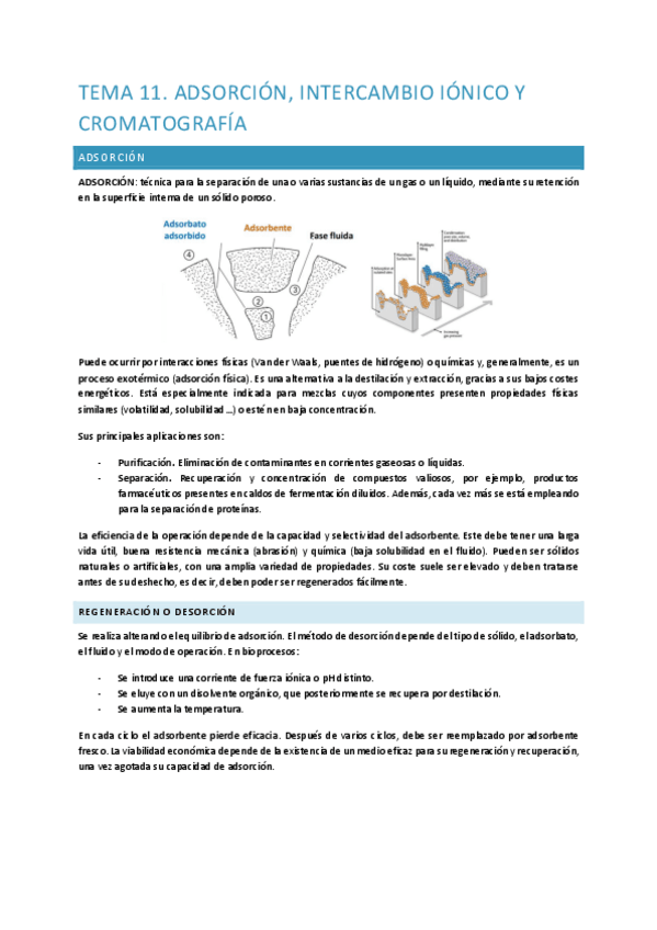 Miniatura del documento Tema-11.-Adsorcion-intercambio-ionico-y-cromatografia.pdf